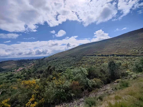 Parada de Monteiros — Maio 2026